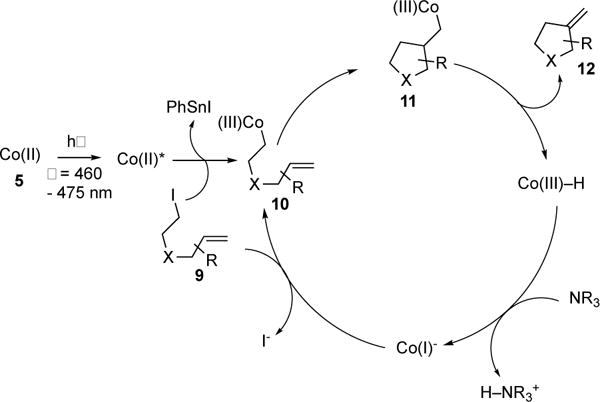 Scheme 4