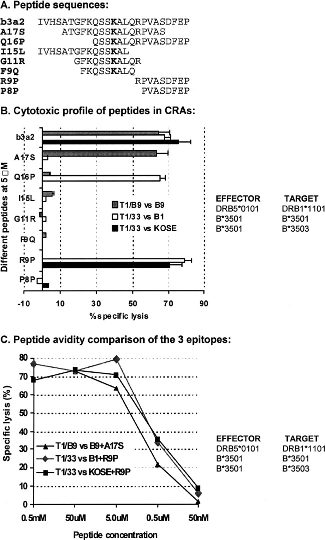 Fig. 3A–C.