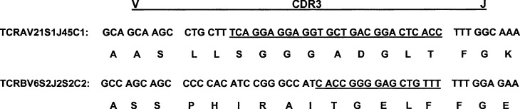 Fig. 2.