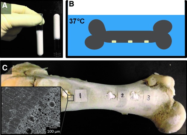 FIG. 8.