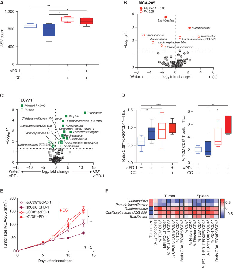 Figure 2. Impact of CC on microbiome composition and association with CD8+ T-cell antitumor activity. A, 16S rRNA analysis of the fecal samples from mice from the four groups in the MCA-205 experiments, and representation of the alpha diversity measured by the amplicon sequence variant (ASV) count in each group. B and C, Volcano plot representation of differential abundance analysis comparing (B) pooled CC vs. water (αPD-1 and IsoPD-1) groups in the MCA-205 model and (C) the water/αPD-1 vs. CC/αPD-1 groups in the E0771 model (n = 10 and 5 mice/group, respectively). Bacteria enriched in each group are represented using adjusted P value (fill shape symbol) and P value (no fill shape symbol; false discovery rate: 0.05). D, Flow cytometry analysis of the ratio of CD8+/FOXP3+CD4+ T cells and CD8+ T central memory (TCM) cell (CD45RB−CD62L+) subpopulations in MCA-205 TILs in the four experimental groups (n = 10 mice/group). E, Effects of anti-CD8 (αCD8) depletion or its isotype control (IsoCD8) on MCA-205 tumor growth kinetics with daily oral gavage of CC (n = 5 mice/group) treated or not with αPD-1 or its isotype control. F, Pairwise Spearman rank correlation heat map between significantly different bacteria enriched in CC/IsoPD-1 vs. water/IsoPD-1 groups with positively correlated TILs or splenocyte cytometry and matching tumor size in the MCA-205 experiment. MFI, mean fluorescence intensity; TEM, T effector memory. *, P < 0.05; **, P < 0.01; ***, P < 0.001.