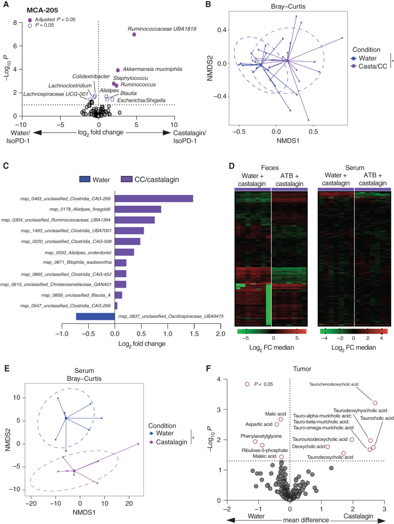 Figure 4. Castalagin influences the microbiome composition and metabolite production. A, Volcano plot representation of differential abundance analysis results after 16S rRNA sequencing analysis of water/IsoPD-1 vs. castalagin/IsoPD-1 groups of the MCA-205 model (n = 10 mice/group). Bacteria enriched in each group are represented using adjusted P value (fill shape symbol) and P value (no fill shape symbol; false discovery rate: 0.05). B, Metagenomics sequencing with representation of species richness in fecal samples from MCA-205 experiment in water (IsoPD-1 and αPD-1) vs. castalagin/CC (IsoPD-1 and αPD-1) groups. Bray–Curtis representation for beta diversity. C, Bar plot representation of differential abundance analysis results after metagenomics sequencing analysis between water (IsoPD-1 and αPD-1) and castalagin/CC (IsoPD-1 and αPD-1) groups. D, Heat map of change in metabolite relative abundance in the feces and serum. Hierarchical clustering (Euclidean distance, Ward linkage method) of the metabolite abundance is shown (n = 7 mice/group). E, Metabolites’ principal coordinate analysis between water and castalagin in serum. F, Volcano plot representation for the differential metabolite difference from the tumor of mice receiving water or castalagin (n = 7 mice/group). The horizontal dotted black line shows where P = 0.05 with points above indicating metabolites with significantly different abundance (P < 0.05). *, P < 0.05.