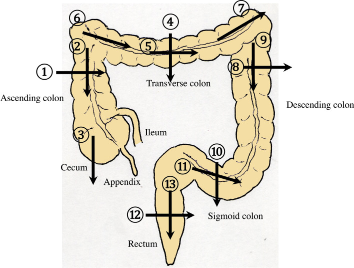 Fig. 16