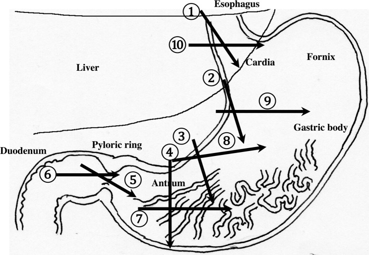 Fig. 3