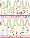 Figure 3: