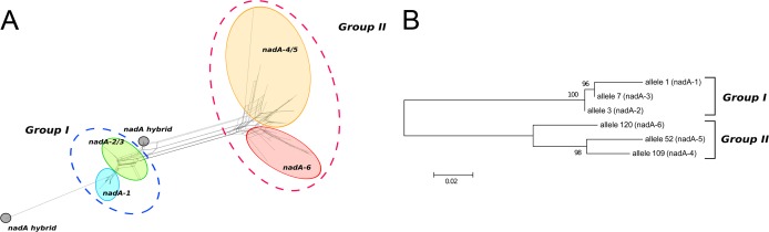 FIG 1