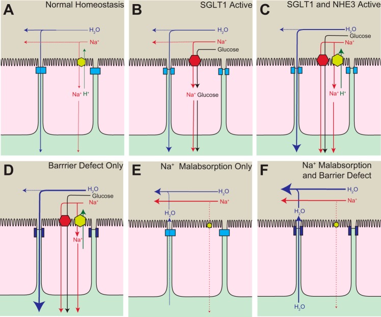 Fig. 3.