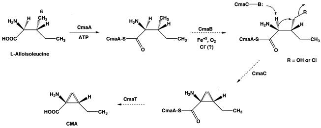 FIG. 7.