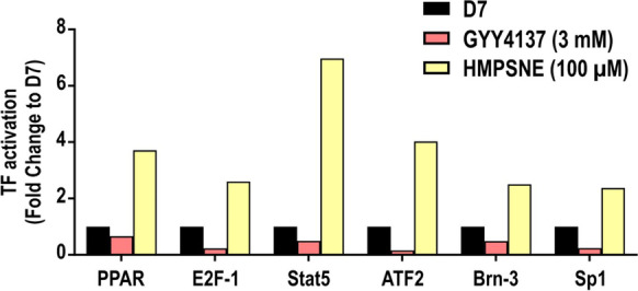 Fig. 7