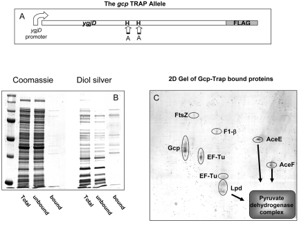 FIG 4 