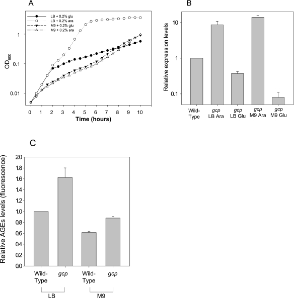 FIG 6 