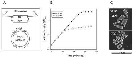 FIG 1 