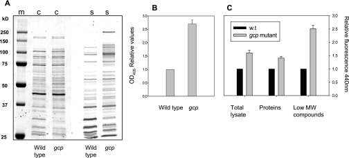 FIG 2 