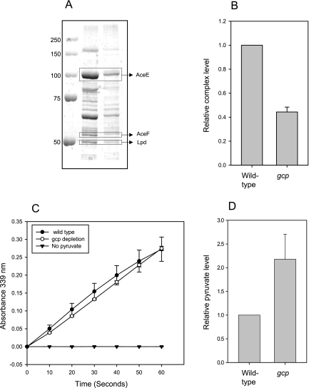 FIG 5 