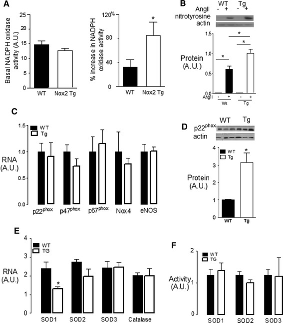 Fig. 3