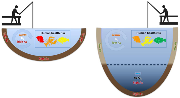 graphic file with name nihms-1665453-f0001.jpg