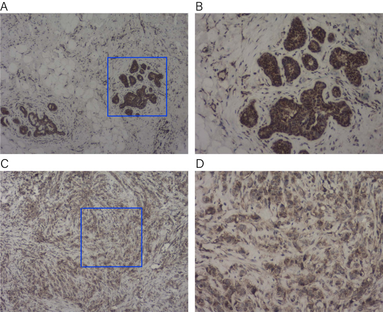 Figure 16