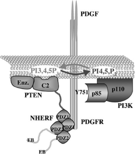 Figure 8