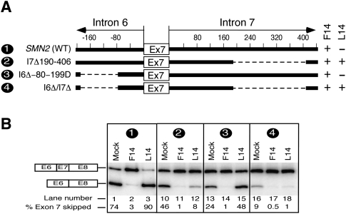 FIGURE 6.