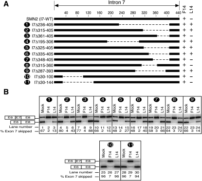 FIGURE 7.