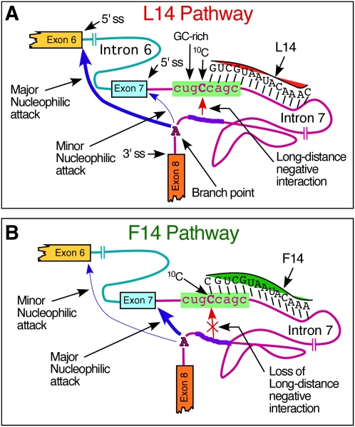 FIGURE 9.