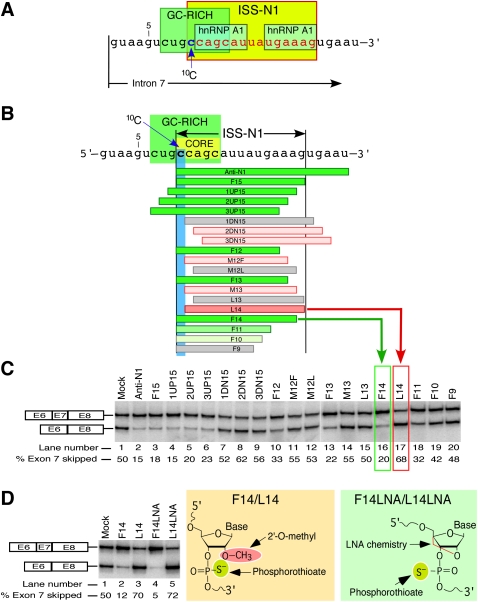 FIGURE 1.