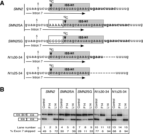 FIGURE 4.