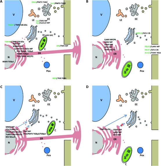 Figure 1.