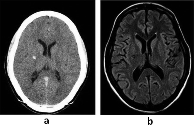 Figure 2