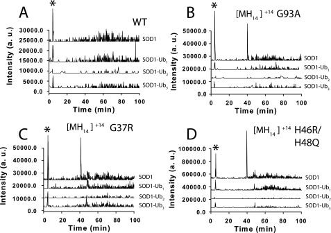 FIGURE 3.