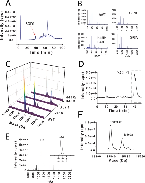 FIGURE 1.