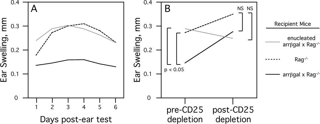 Fig. (3)