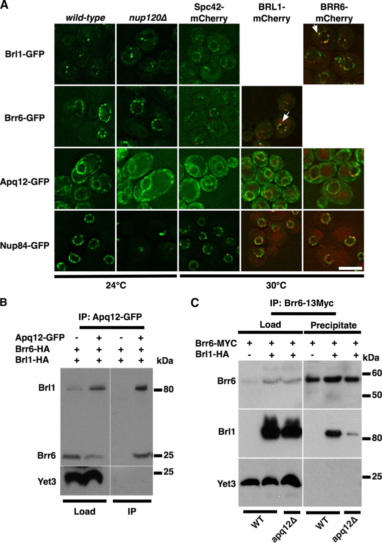 FIG 6