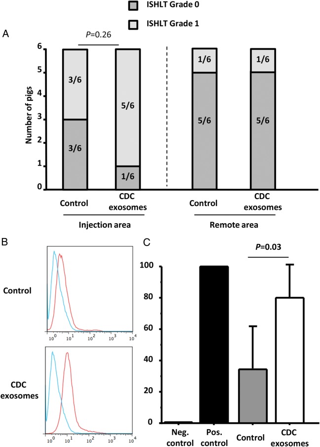 Figure 7