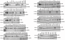 Figure 3—figure supplement 2.