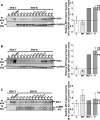 Figure 4—figure supplement 1.
