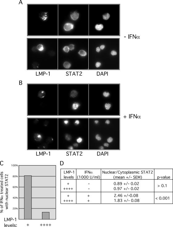 FIG. 5.