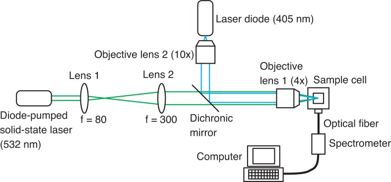 Fig. 2