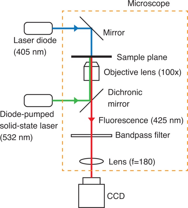 Fig. 8