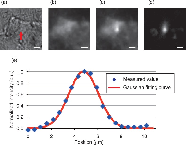 Fig. 9