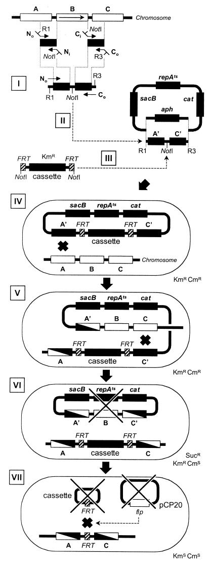 FIG.3.