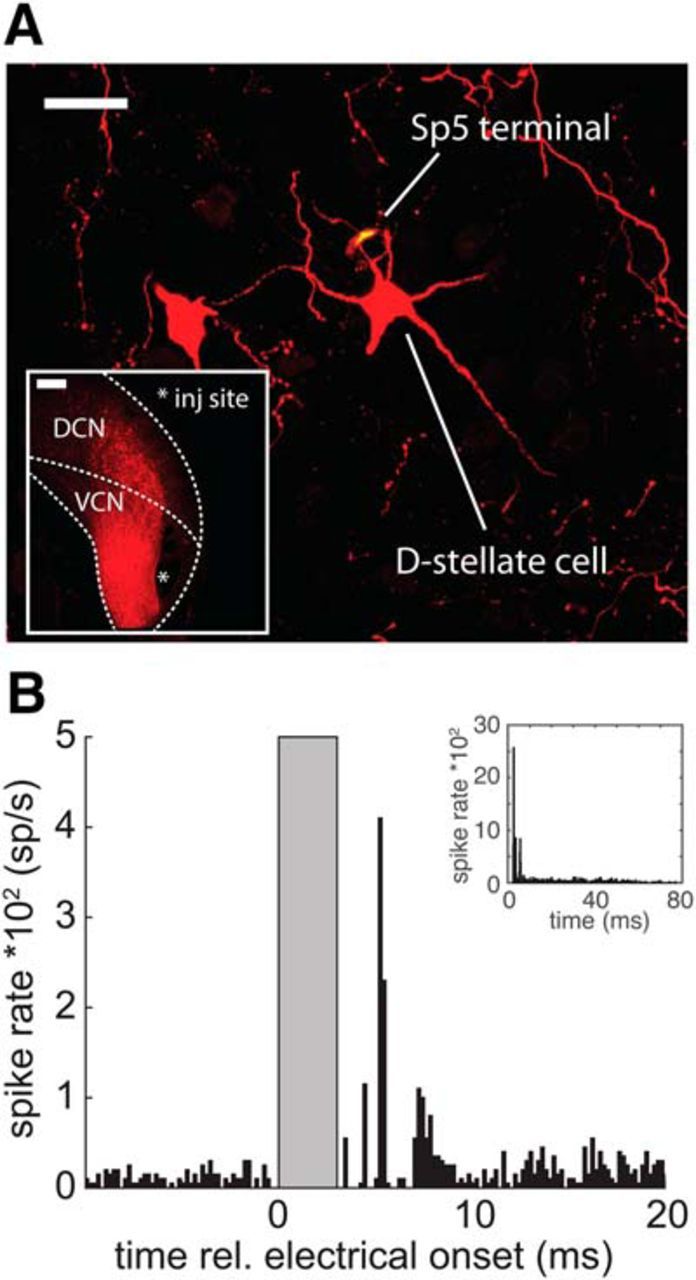 Figure 9.