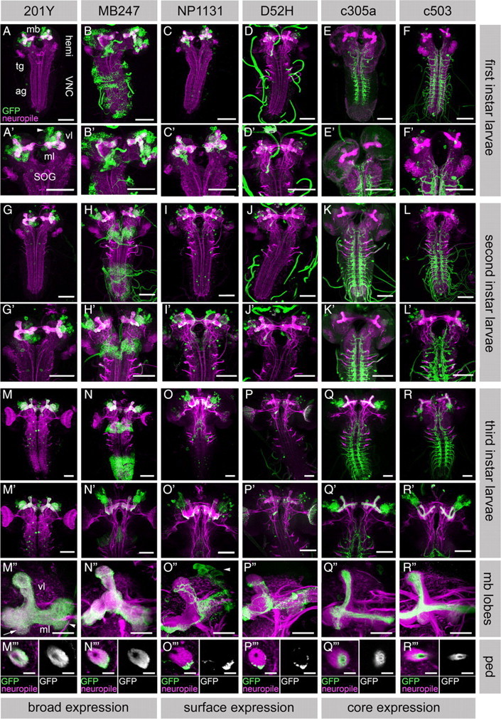 Figure 4.