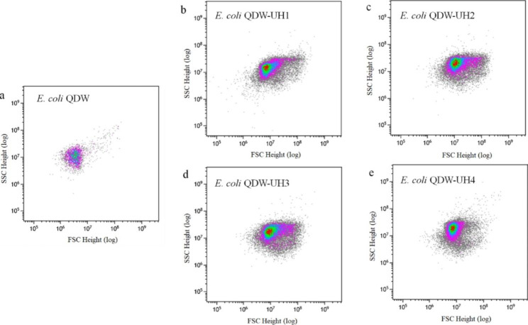 Fig. 4