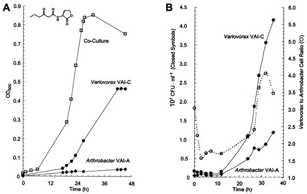 FIG. 7.