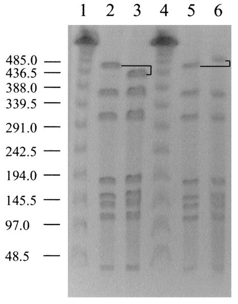 FIG. 6.