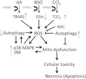 Fig. 9