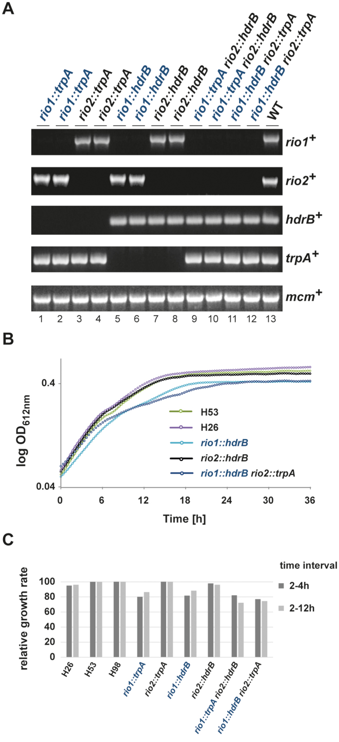 Figure 1.