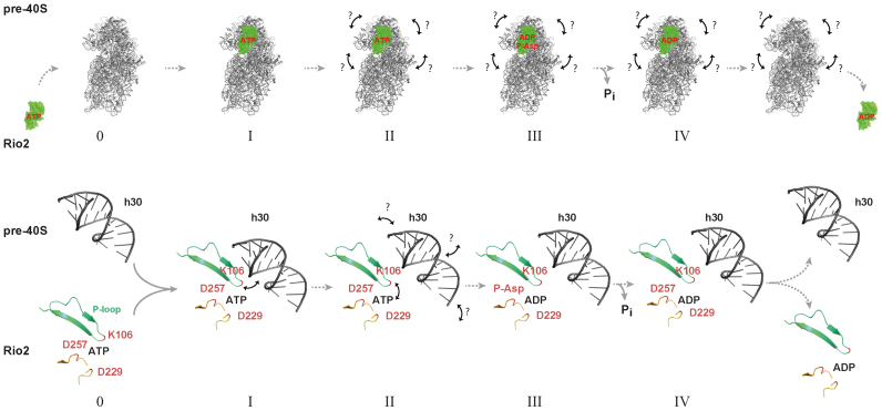 Figure 9.