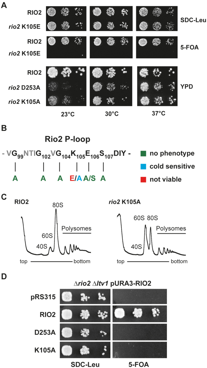 Figure 5.